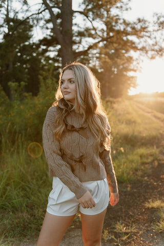 Brown Bow Detail Knit Sweater