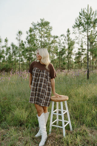 Brown Plaid Contrast Babydoll Dress