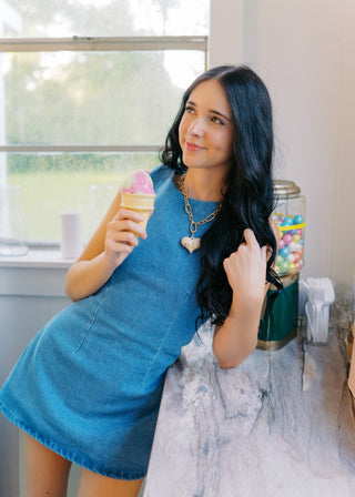 Denim Boat Neck Fitted Dress