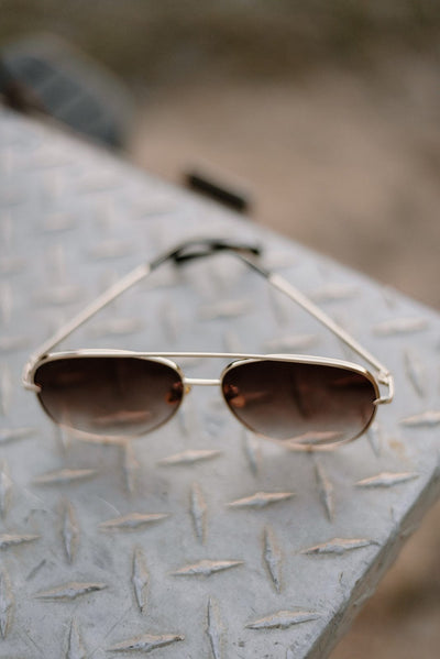DAX Brown Classic Aviator Sunglasses