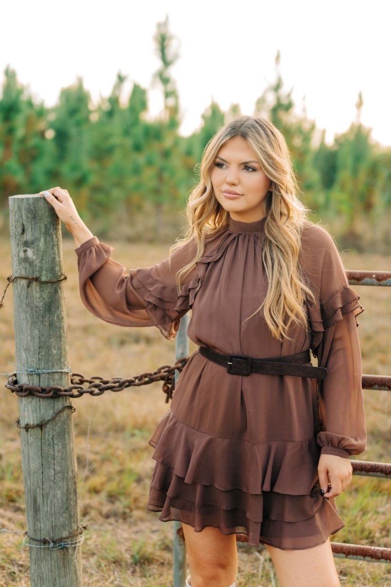 Brown Ruffle Long Sleeve Mini Dress