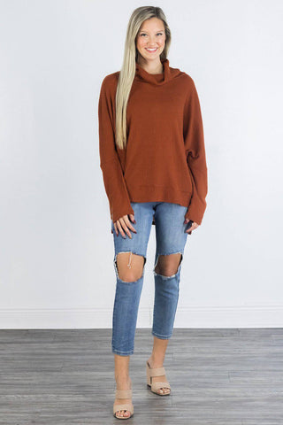 Cinnamon Dolman Sleeve Tunic