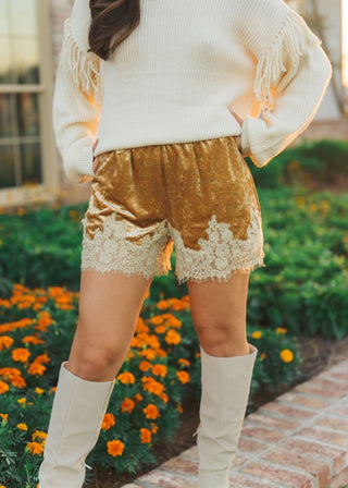 Gold & Cream Lace Trim Velvet Shorts | Select Trends Boutique